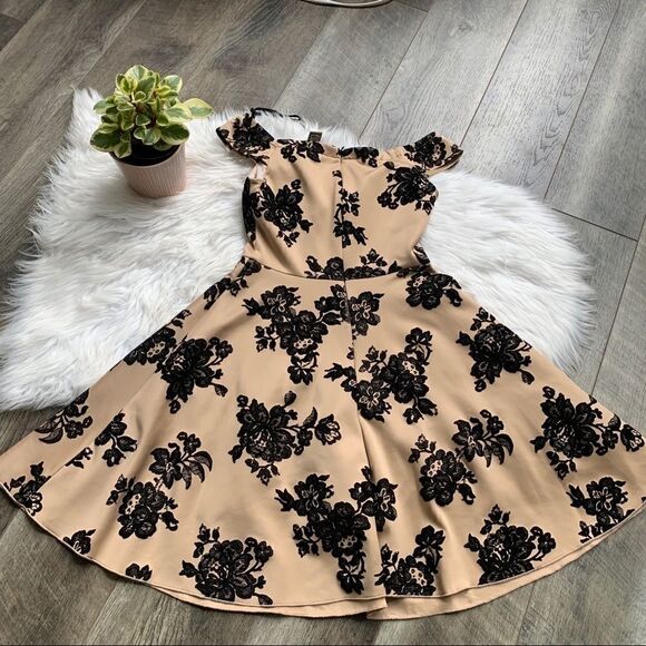 FE Forever Nude and Black Velvet Floral Dress NWT - Picture 13 of 16
